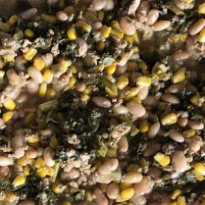 White Bean Chicken Chili